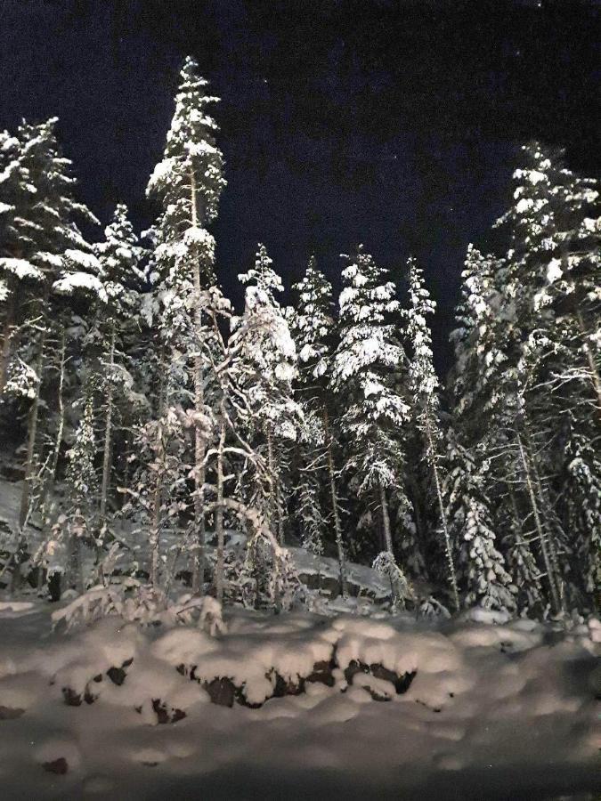 Stuga I Storklinten Harads المظهر الخارجي الصورة