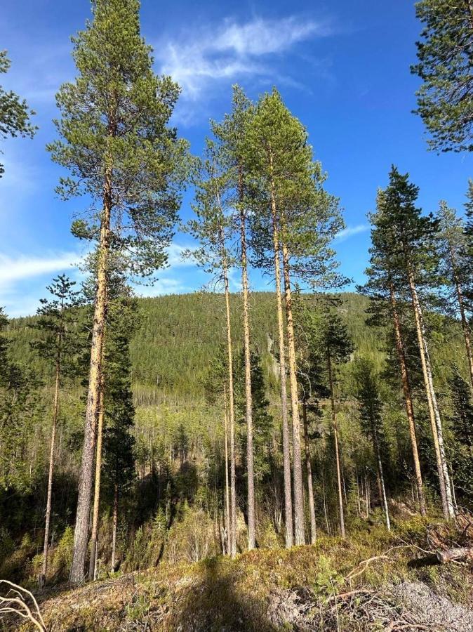 Stuga I Storklinten Harads المظهر الخارجي الصورة